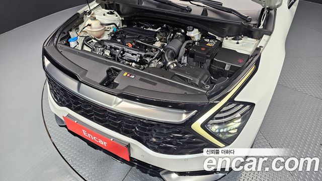 Kia Sportage (V) Gasoline 1.6 Turbo 2WD Signature 2022 — фото 6