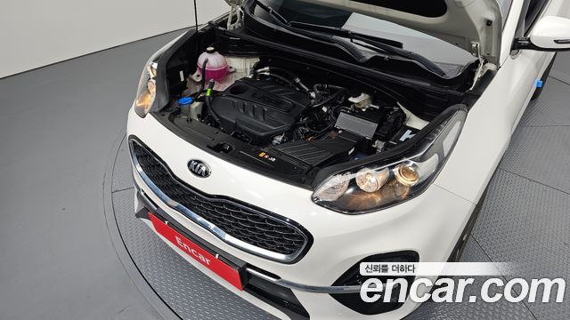 Kia Sportage The Bold Diesel 1.6 4WD Trendy 2022 — фото 6