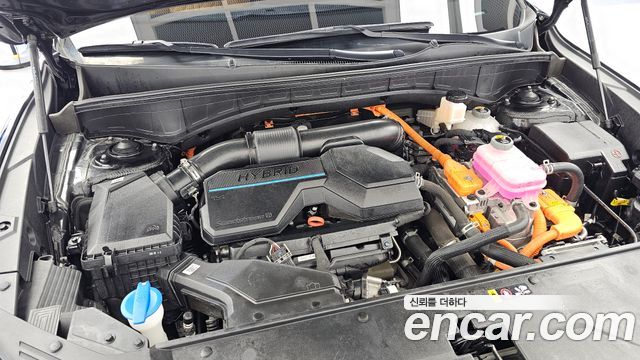 Kia Sorento (IV) HEV 1.6 2WD Signature 2023 — фото 6