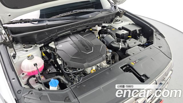 Hyundai Tucson (NX4) Diesel 2.0 2WD Modern 2023 — фото 6