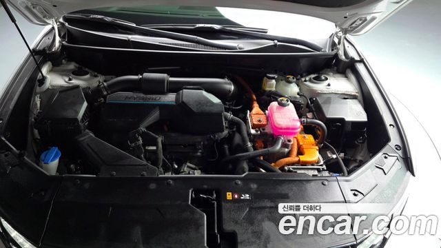 Hyundai Tucson Hybrid (NX4) Premium 2WD 2023 — фото 6