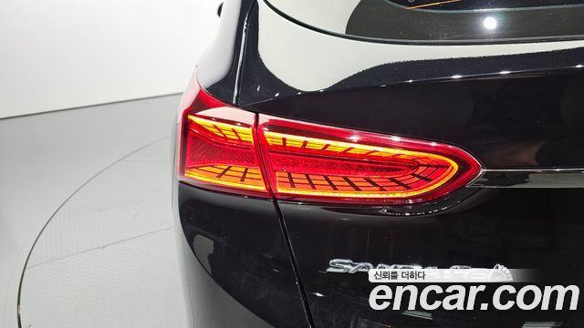 Hyundai Santa Fe (TM) Diesel 2.0 2WD Prestige 2020 — фото 23