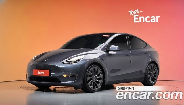 Tesla Model Y Performance AWD 2021 — фото 1