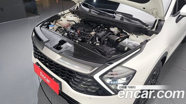 Kia Sportage (V) Gasoline 1.6 Turbo 2WD Signature 2024 — фото 6