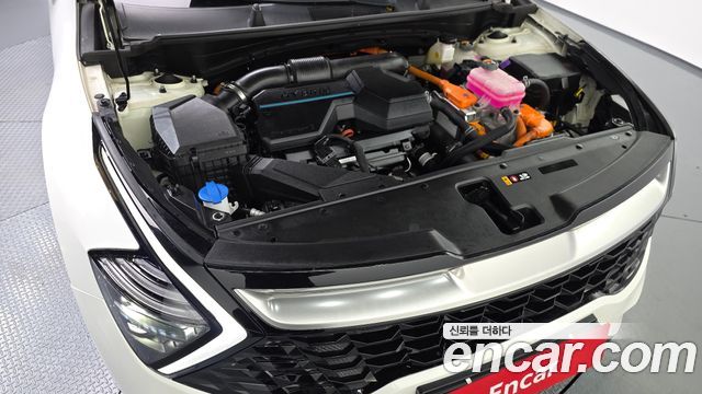 Kia Sportage Hybrid (V) Prestige 2WD 2022 — фото 6