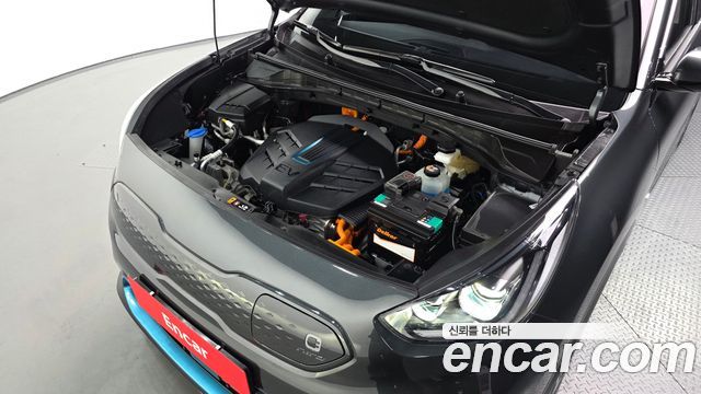 Kia Niro EV Noblesse 2022 — фото 6