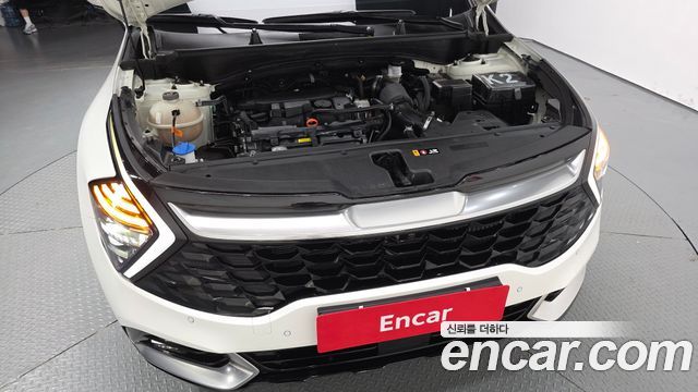 Kia Sportage (V) Gasoline 1.6 Turbo 2WD Signature 2024 — фото 6