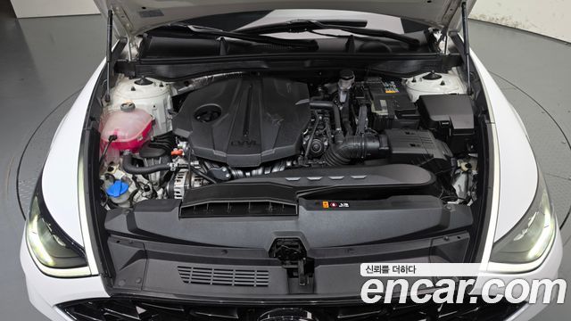 Hyundai Sonata (DN8) 2.0 Premium Plus 2023 — фото 6