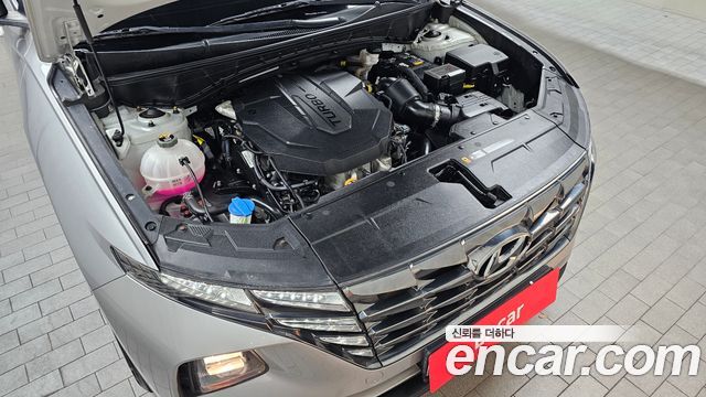 Hyundai Tucson (NX4) Diesel 2.0 2WD Modern 2023 — фото 6