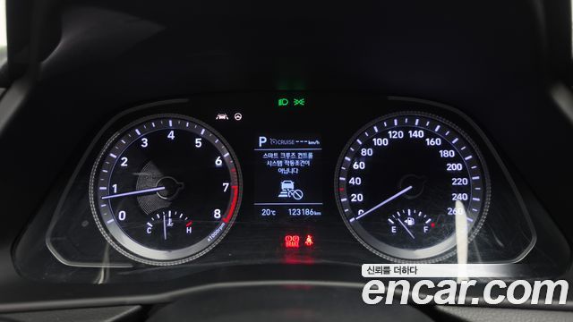 Hyundai Sonata (DN8) 2.0 LPG(rental car) Smart 2020 — фото 8