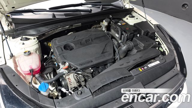 Kia K5 (III) 2.0 LPI(Renter car) Trandy 2023 — фото 6