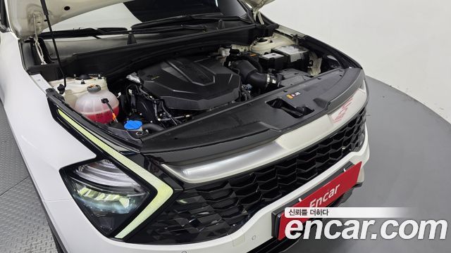 Kia Sportage (V) Diesel 2.0 2WD Nobleless 2023 — фото 6