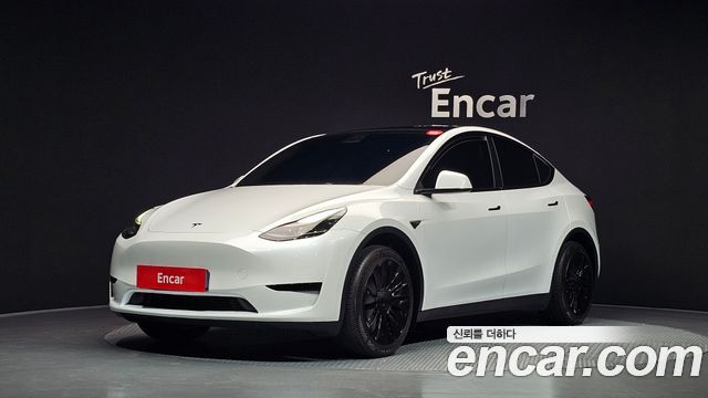 Tesla Model Y RWD