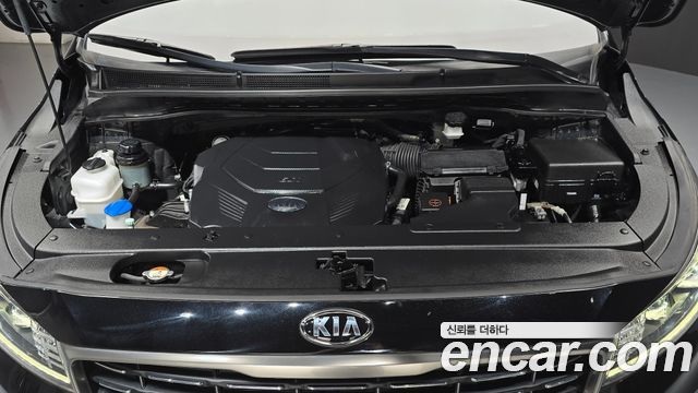 Kia Carnival Gasoline 9-Seater Noblesse Special 2019 — фото 6