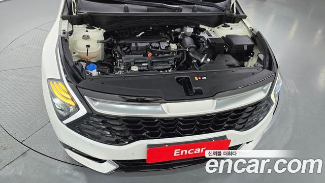 Kia Sportage (V) Gasoline 1.6 Turbo 2WD Nobleless 2024 — фото 6