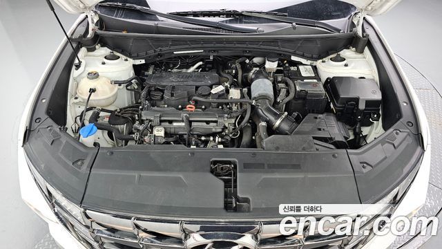 Hyundai Tucson (NX4) Gasoline 1.6 Turbo 2WD Premium 2023 — фото 6