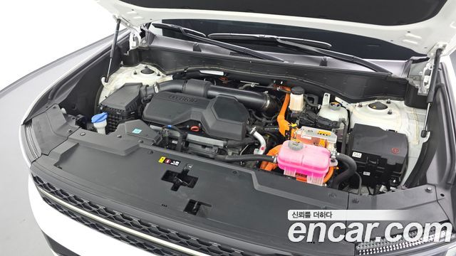 Hyundai Santa Fe (MX5) HEV 1.6 2WD Calligraphy 2025 — фото 6