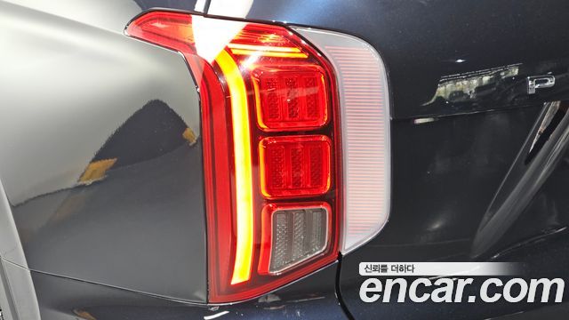 Hyundai Palisade Diesel 2.2 2WD Exclusive 2019 — фото 23