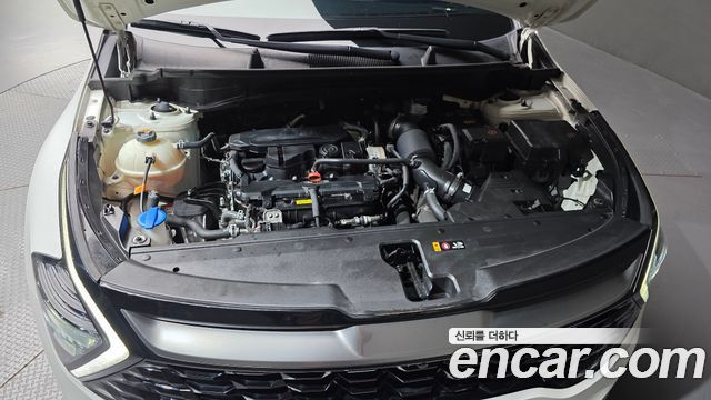 Kia Sportage (V) Gasoline 1.6 Turbo 2WD Signature 2023 — фото 6