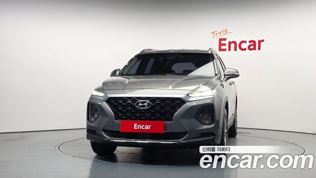 Hyundai Santa Fe (TM) Diesel 2.0 2WD Exclusive 2019 — фото 3