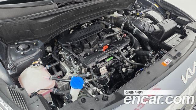 Kia Seltos Gasoline 1.6 Turbo 2WD Trendy 2025 — фото 6