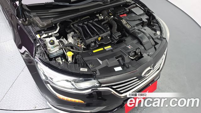 Renault Korea SM6 2.0 LPe RE (Disabled) 2017 — фото 6