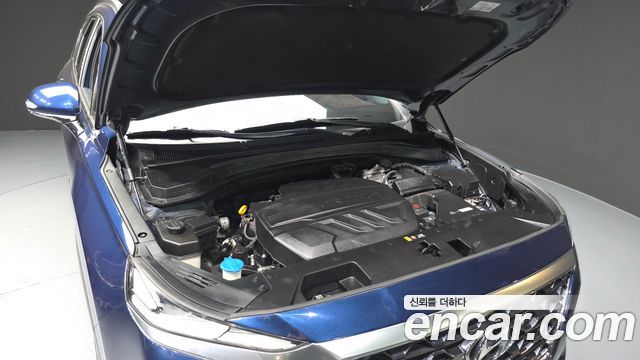 Hyundai Santa Fe (TM) Diesel 2.2 4WD Prestige 2020 — фото 6