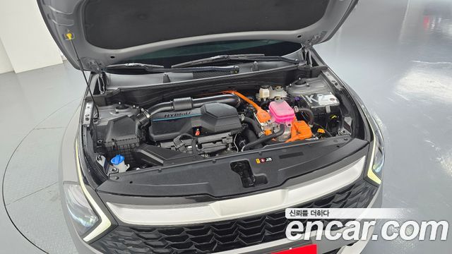 Kia Sportage Hybrid (V) Prestige 2023 — фото 6