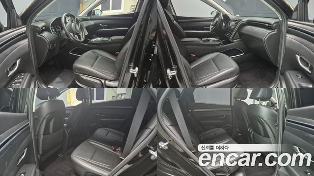 Hyundai Tucson (NX4) Diesel 2.0 2WD Premium 2023 — фото 15