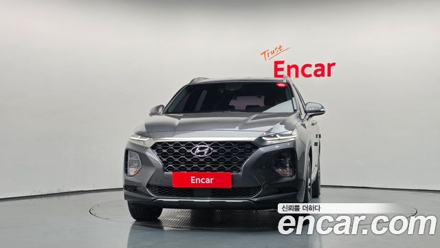 Hyundai Santa Fe (TM) Diesel 2.0 2WD Exclusive Special 2019 — фото 3