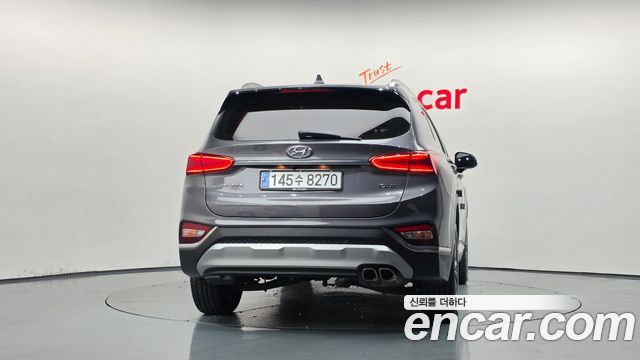 Hyundai Santa Fe (TM) Diesel 2.0 2WD Exclusive Special 2019 — фото 4