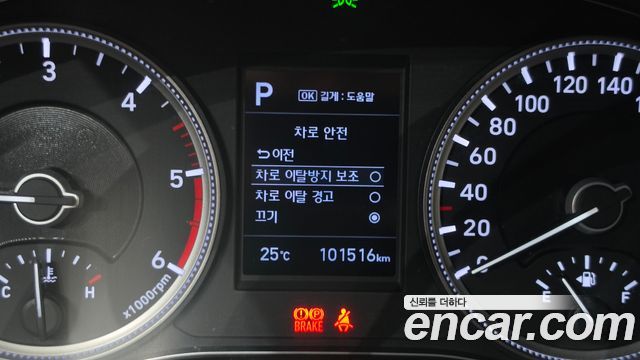 Hyundai Santa Fe (TM) Diesel 2.0 2WD Exclusive Special 2019 — фото 17