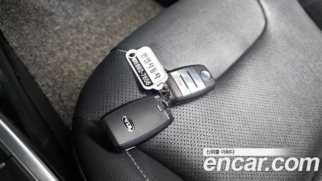 Kia Niro EV Prestige 2019 — фото 15