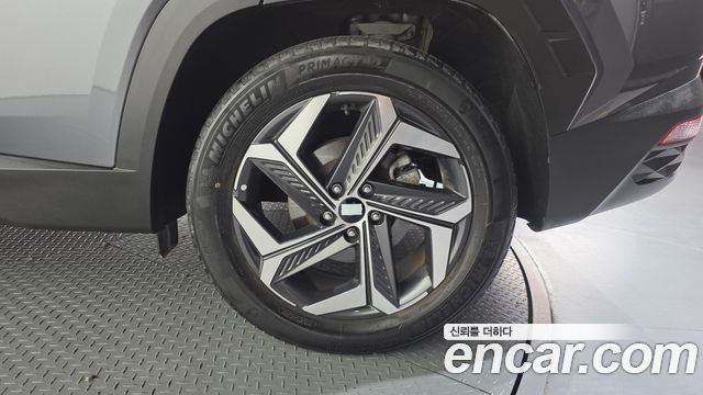 Hyundai Tucson (NX4) Diesel 2.0 4WD Inspiration 2023 — фото 21