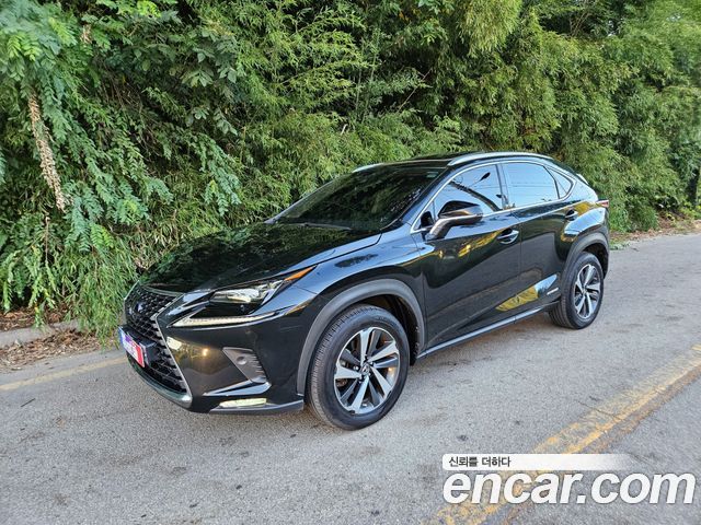 Lexus NX300h Supreme