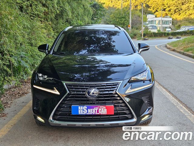 Lexus NX300h Supreme 2020 — фото 2