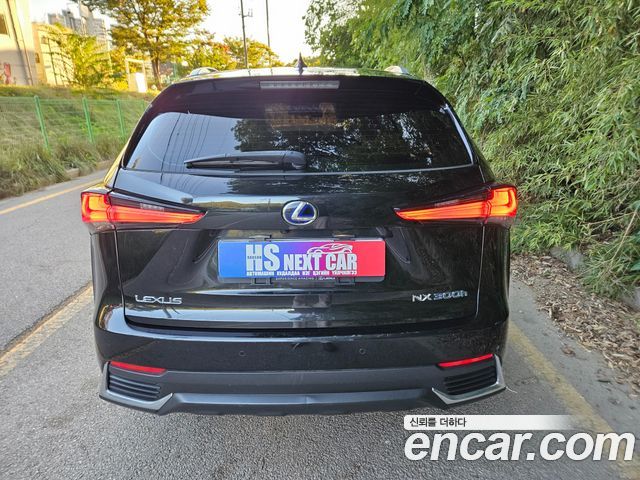 Lexus NX300h Supreme 2020 — фото 4