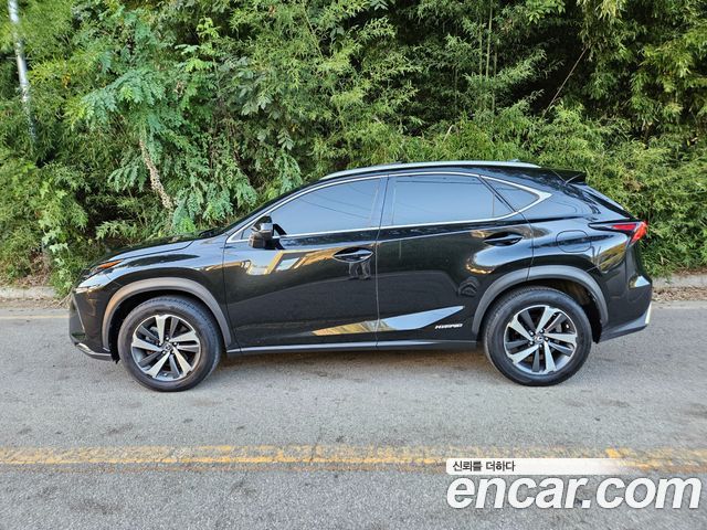 Lexus NX300h Supreme 2020 — фото 5