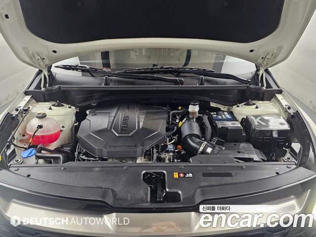 Kia Sportage (V) Diesel 2.0 2WD Trendy 2023 — фото 6