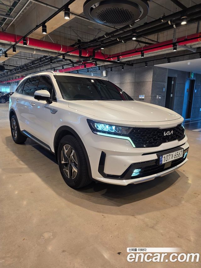 Kia Sorento (IV) HEV 1.6 2WD Signature 2023 — фото 2