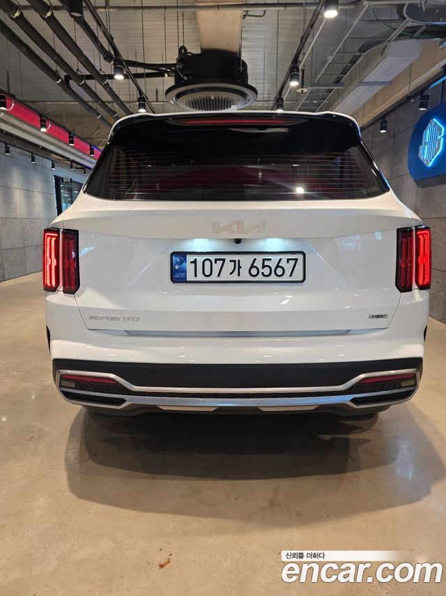 Kia Sorento (IV) HEV 1.6 2WD Signature 2023 — фото 4