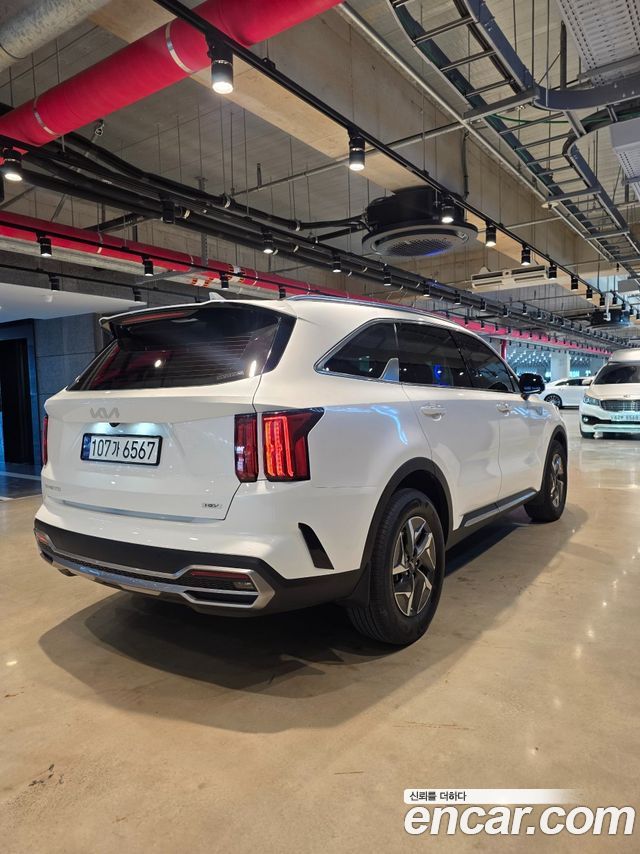 Kia Sorento (IV) HEV 1.6 2WD Signature 2023 — фото 5
