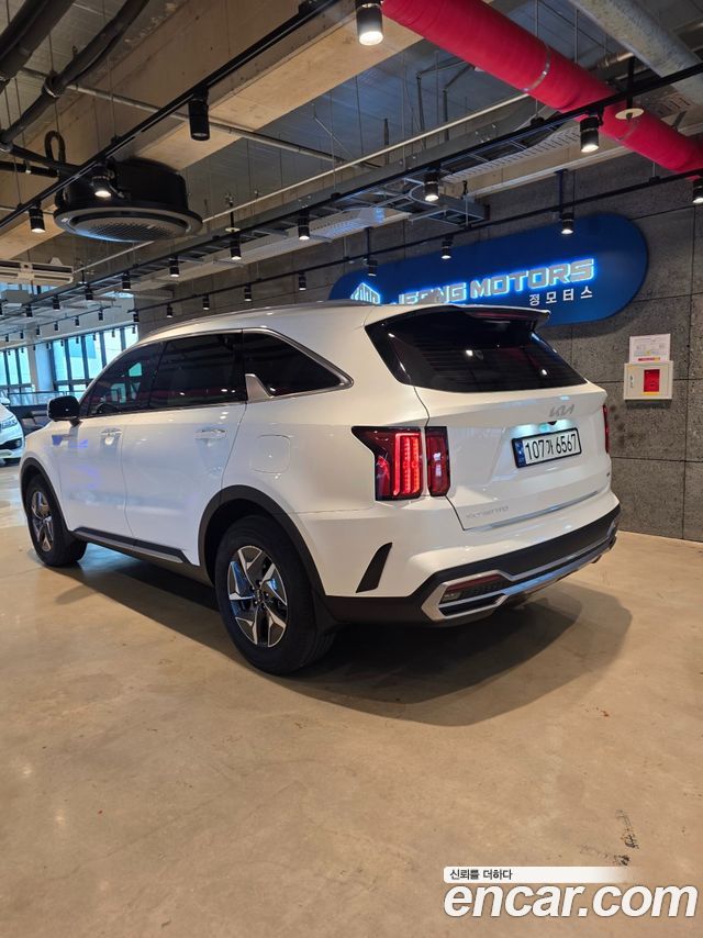 Kia Sorento (IV) HEV 1.6 2WD Signature 2023 — фото 6