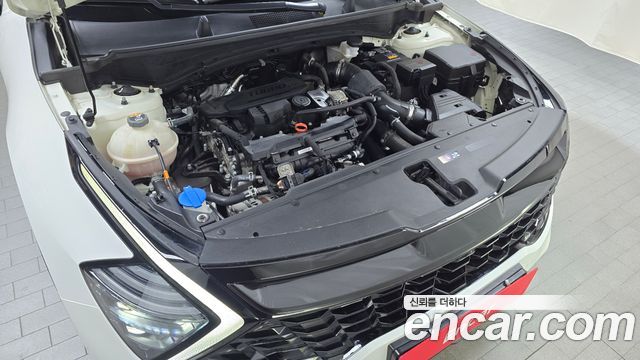 Kia Sportage (V) Gasoline 1.6 Turbo 2WD Signature 2022 — фото 6