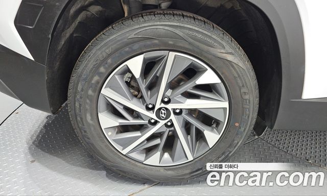 Hyundai Tucson (NX4) Diesel 2.0 4WD Modern 2023 — фото 5