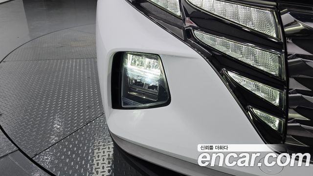 Hyundai Tucson (NX4) Diesel 2.0 4WD Modern 2023 — фото 22