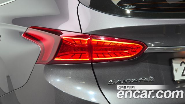 Hyundai Santa Fe (TM) Diesel 2.0 2WD Premium 2019 — фото 29