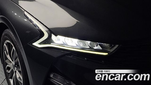 Kia K5 (III) 2.0 Prestige 2023 — фото 22