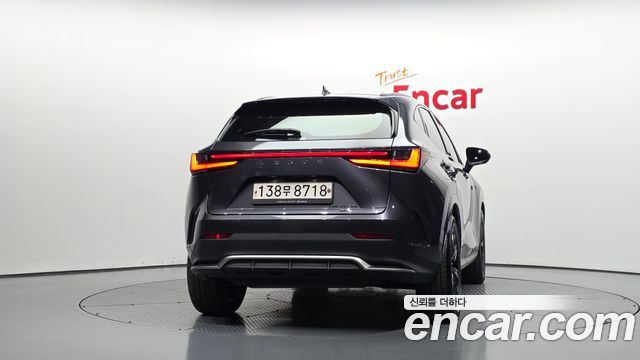Lexus NX450h+ (II) F-Sport 2022 — фото 4