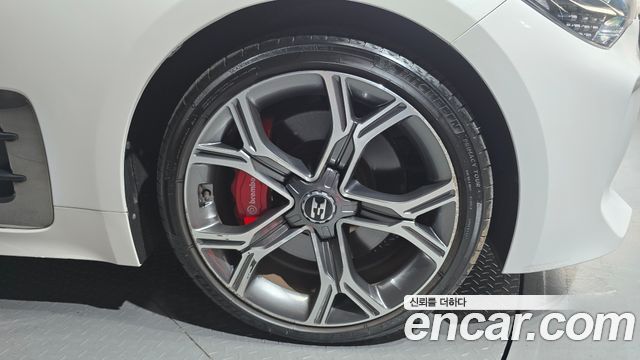 Kia Stinger 2.0 Turbo 2WD Platinum 2019 — фото 5